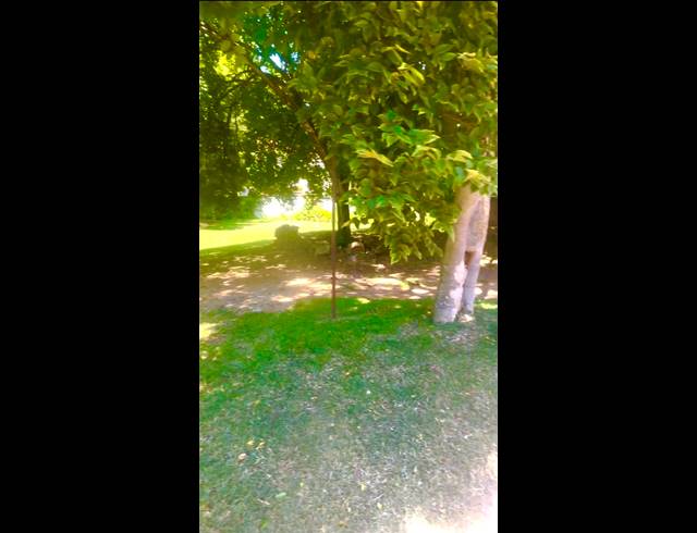 608M² VACANT LAND FOR SALE IN MORNINGSIDE